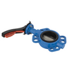 Wafer Butterfly Valve Factory OEM Industrial Di Manual Stainless Steel