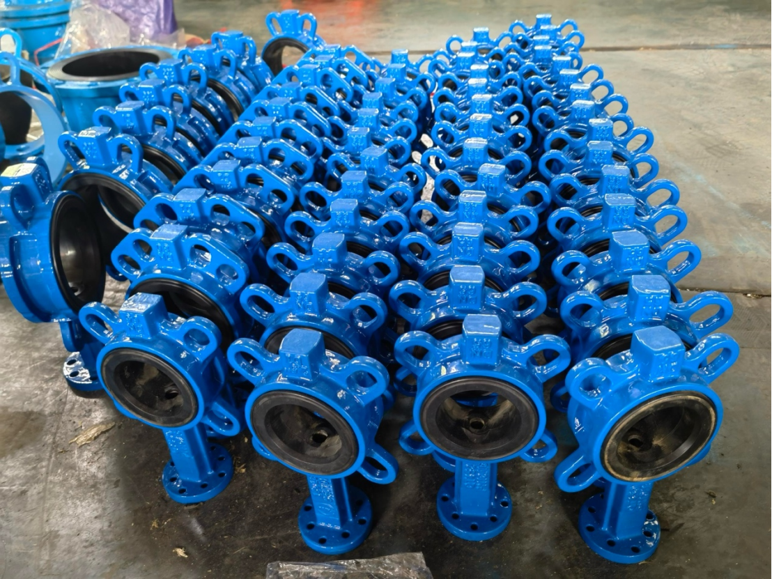 Industrial Water Valves Supply to UAE Client