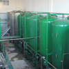 Ion Exchanger Ion Exchange Column Ion for Gelatin Industry